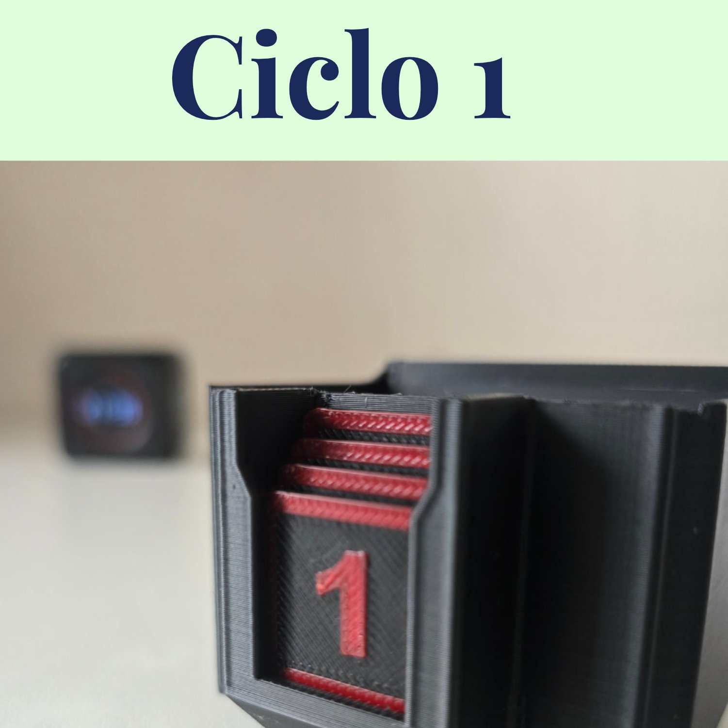 ciclo1